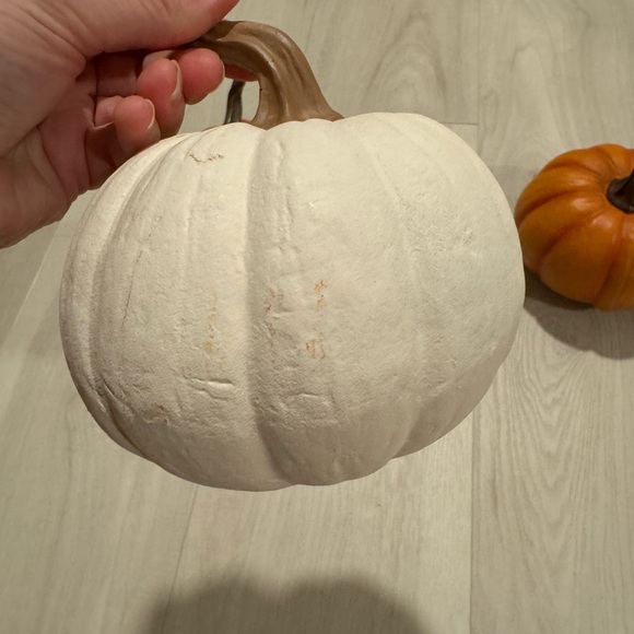 Fall Decor - Picture 5 of 6